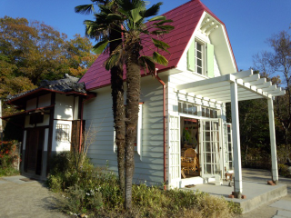 Illustration for article titled In Japan, You Can Visit the Totoro House. For Real.